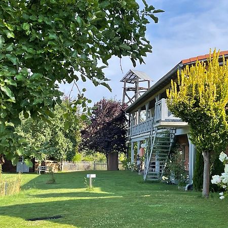 Pension Mochow Schwielochsee Bagian luar foto